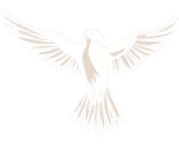 FALCO Logo