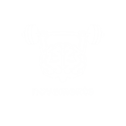 Novamente Training Logo